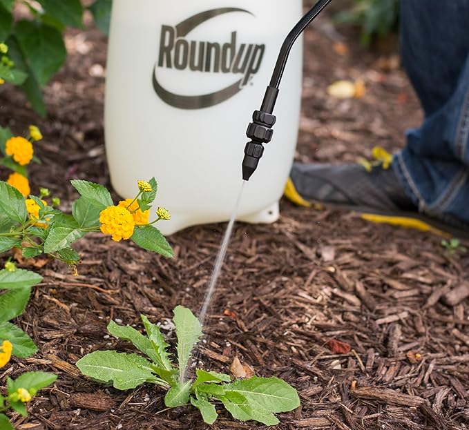 Roundup 190260 2-Gallon Lawn and Garden Sprayer for Controlling Insects and Weeds or Cleaning Decks and Siding - Cart Shape