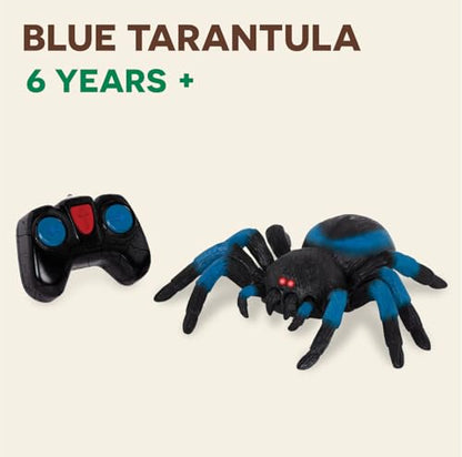 Terra by Battat – Remote Control Tarantula for Kids with LED Eyes – Realistic Spider Toy with Moving Legs, Fast Speed & 360° Spin – Blue RC Animal for Boys & Girls 6+ Years