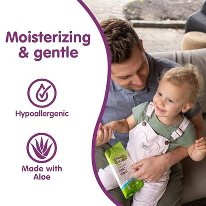 Boogie Antibacterial Hand Wipes, 100 Total Wipes, 5 Packs of 20, Alcohol Free, Hypoallergenic, Moisturizing Aloe for Kids and Adults