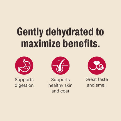 honest kitchen human grade wholemade dehydrated whole grain dog food turkey 10 lb box