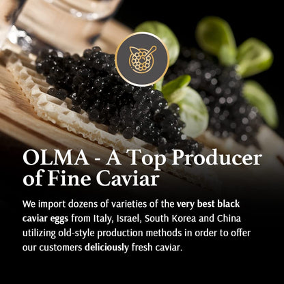 OLMA Classic Caviar Black Caviar Gift Box - Includes 2 oz of Siberian Osetra Aurora, White Sturgeon, Paddlefish, Hackleback Sturgeon Fish Roe & Mother of Pearl Serving Spoon - Overnight Delivery