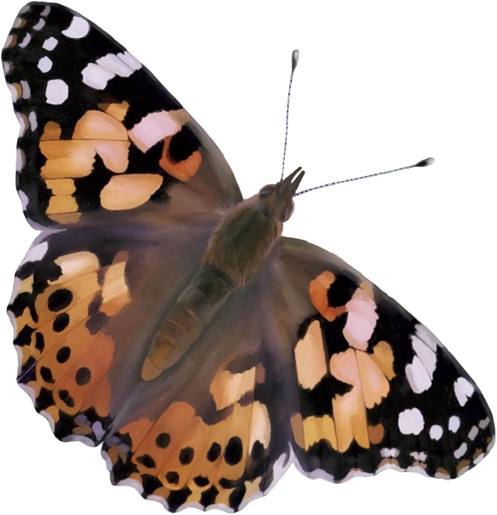 Insect Lore Butterfly Garden Kit, Painted Lady Butterfly Kit with Voucher for Live Caterpillars, Butterfly Habitat, STEM Journal & More Visit the Insect Lore Store - Cart Shape