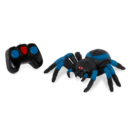 Terra by Battat – Remote Control Tarantula for Kids with LED Eyes – Realistic Spider Toy with Moving Legs, Fast Speed & 360° Spin – Blue RC Animal for Boys & Girls 6+ Years