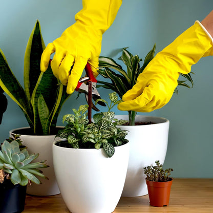 Rubber Kitchen Dishwashing Gloves - 4 Pairs Colorful Reusable Household Cleaning Gloves for Washing Dishes and Cleaning Tasks, Flexible Long-lasting and Non-Slip (Medium, Blue+Pink+Yellow+Red)