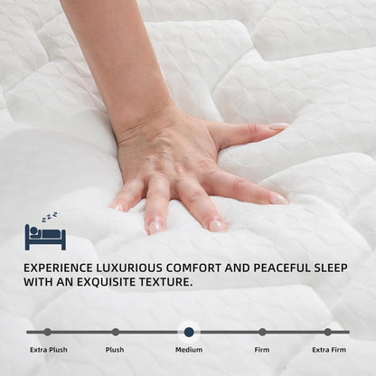 Queen Mattress 12 Inch | Hybrid Mattresses Queen Size in a Box | Medium Firm Memory Foam and Individual Pocket Springs | Fiberglass Free Bed Mattres | Breathable | CertiPUR-US