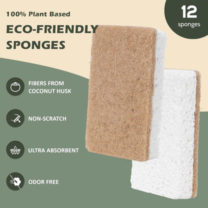 Plant-Based Kitchen Sponges - FSC Certified and PETA Approved, Natural, Eco-Friendly, Biodegradable Sisal Hemp Sponges for Dishes, Cleaning Sponge for Kitchen, Bathroom, Household - 12 Count