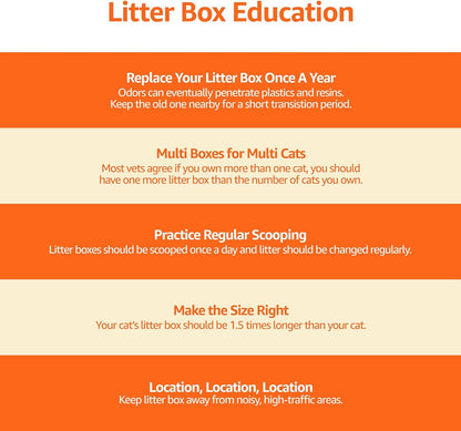 Basics Large Cat Litter Box with High Sides, Open Top, Includes Scoop, 19 x 15 x 11.75 inches, Grey/Beige