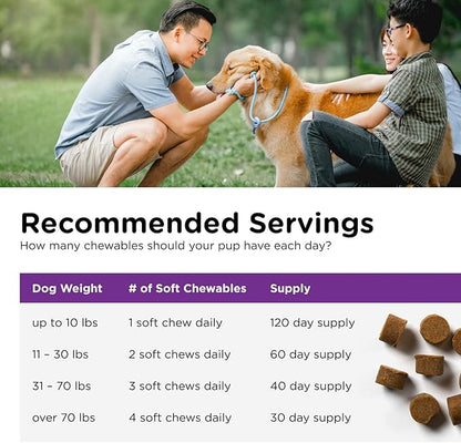Nutri-Vet Pre & Probiotics for Dogs, Digestive Support, Upset Stomach, Puppy Probiotic, Pet Vitamins and Supplements, Dog Probiotics, Liver & Cheese Flavor, 120 Soft Chews