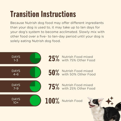 rachael ray nutrish gentle digestion premium paté wet dog food real chicken pumpkin & salmon recipe 12 count