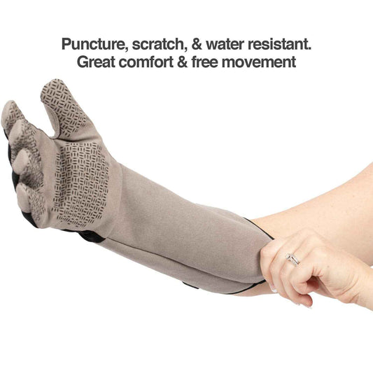 PetFusion Multipurpose Pet Glove for Grooming, Trips to Vet, Handling. [Puncture & Scratch Resistant, Water Resistant]. 12 Month Warranty for Manufacturer Defects Grey