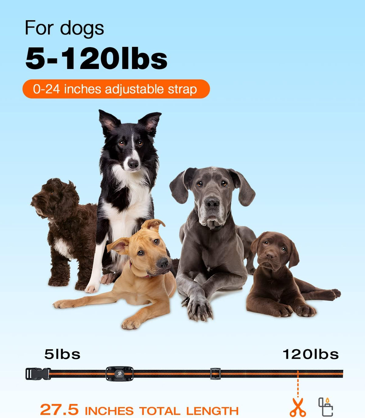 Bousnic Dog Shock Collar - 3300Ft Dog Training Collar with Remote for 5-120lbs Small Medium Large Dogs Rechargeable Waterproof e Collar with Beep (1-8), Vibration(1-16), Safe Shock(1-99) (Orange)