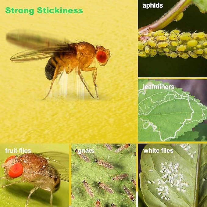 64 Pcs Sticky Trapz for gnat, Yellow Stick Traps for Plants, Fungus gnat Traps Double Side with Shovel, Indoor Safe for Gnat, Fruit Fly, White Fly, Aphid, Leaf Miner - Cart Shape