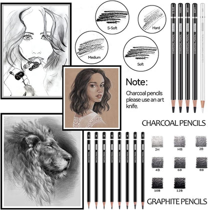 PANDAFLY Drawing Sketching Pencil Set, 22 Piece Pro Art Pencil Kit - Graphite Pencils (12B-2H), Black and White Charcoal Pencils, Charcoal Sticks, Stumps, Eraser, Sharpeners