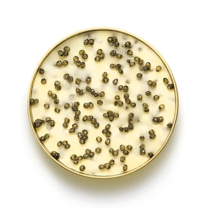 Marky’s Premium Sturgeon Caviar Butter - 3.5 oz / 100 g - 65% French Butter/ 35% Sturgeon Caviar – GUARANTEED OVERNIGHT