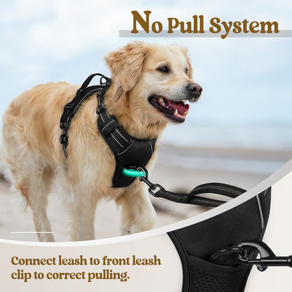 rabbitgoo Dog Harness No PLll with 2 Leash Clips, Adjustable Soft Padded, Reflective Oxford No Choke Pet Vest with Easy Control Handle for Large Dogs, Black, L