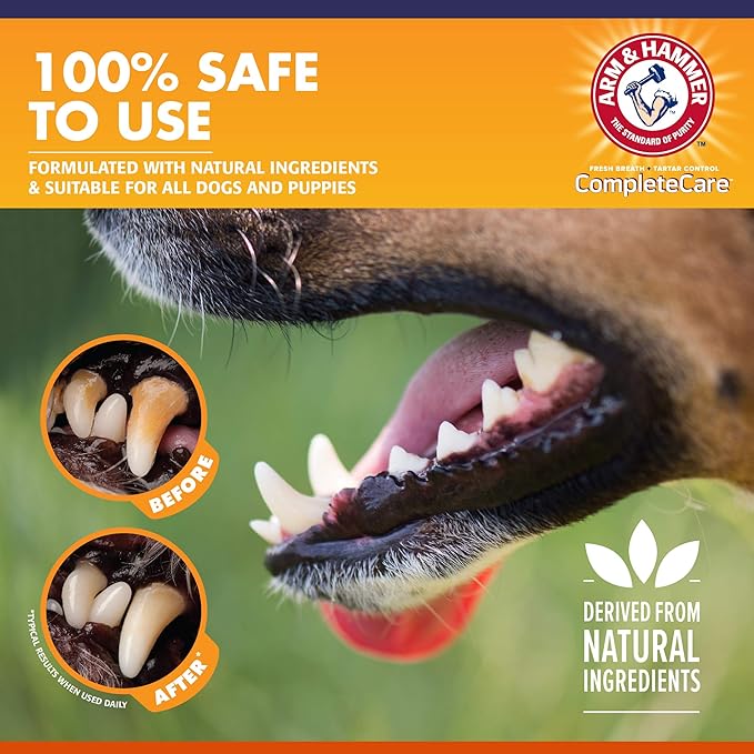 Arm & Hammer Complete Care Enzymatic Dog Toothpaste, 6.2 oz - Pet Toothpaste For Puppies and Adult Dogs, Dental Care and Clean Teeth, 6.2 Oz