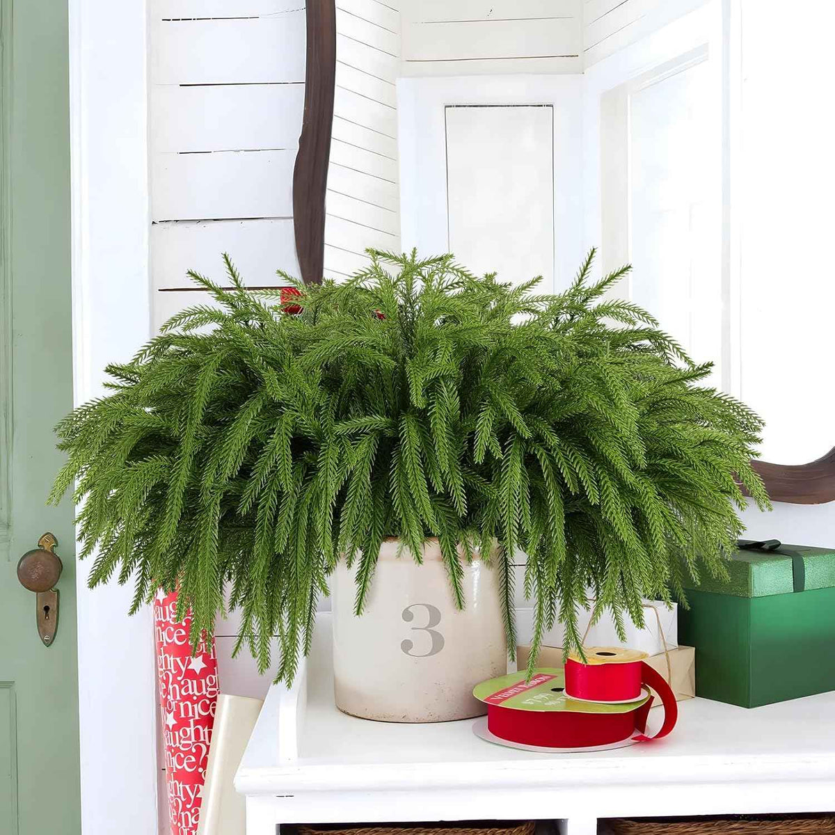 12 Pcs Artificial Norfolk Pine Branches, Norfolk Pine Artificial Pine Stems DIY Crafts Faux Christmas Greenary Norfolk Pine Branches for Xmas Wreath Garland Home Decor (12)