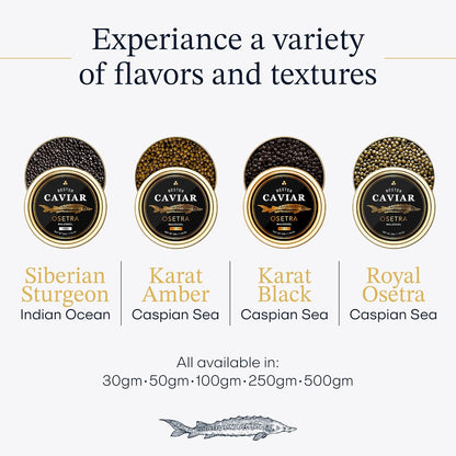 Overnight Guaranteed, BESTER Premium Russian Osetra Sturgeon Black Caviar - (8.8 oz-250g) - Malossol Ossetra Black Roe - Premium Quality, Traditional Style, Imported. Free blinis and 2 spoons.