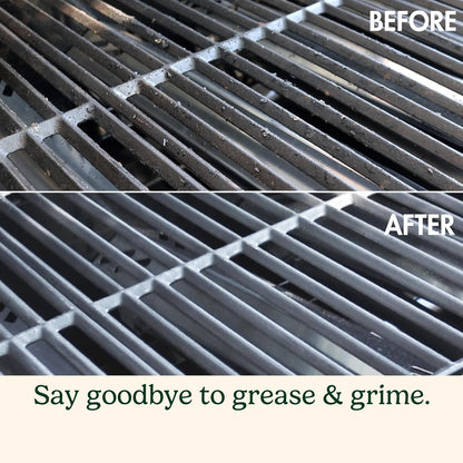 Cuisinart Stainless Steel 16.5" Long Handle Grill Cleaner Brush and Scraper for BBQ, Griddle, Grills, Cookout Tool, Grill Brush for Outdoor Grills BBQ Accessories