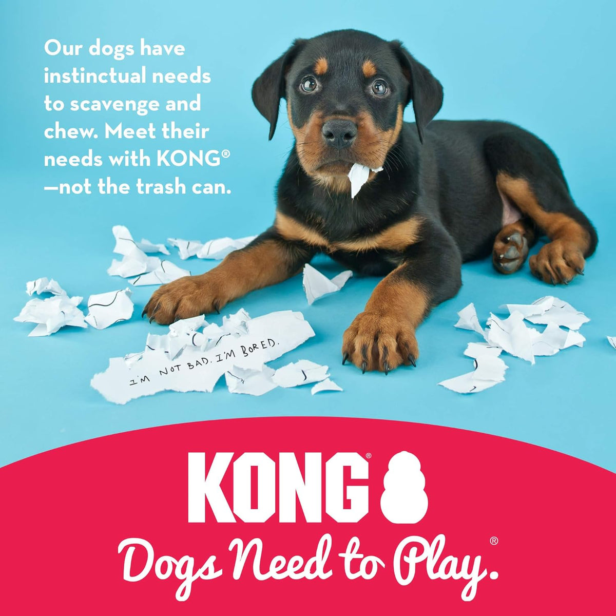 KONG Classic Stuffable Dog Toy - Fetch & Chew Toy for Dogs - Treat-Filling Capabilities & Erratic Bounce for Extended Play Time - Durable Natural Rubber Material - for Medium Dogs
