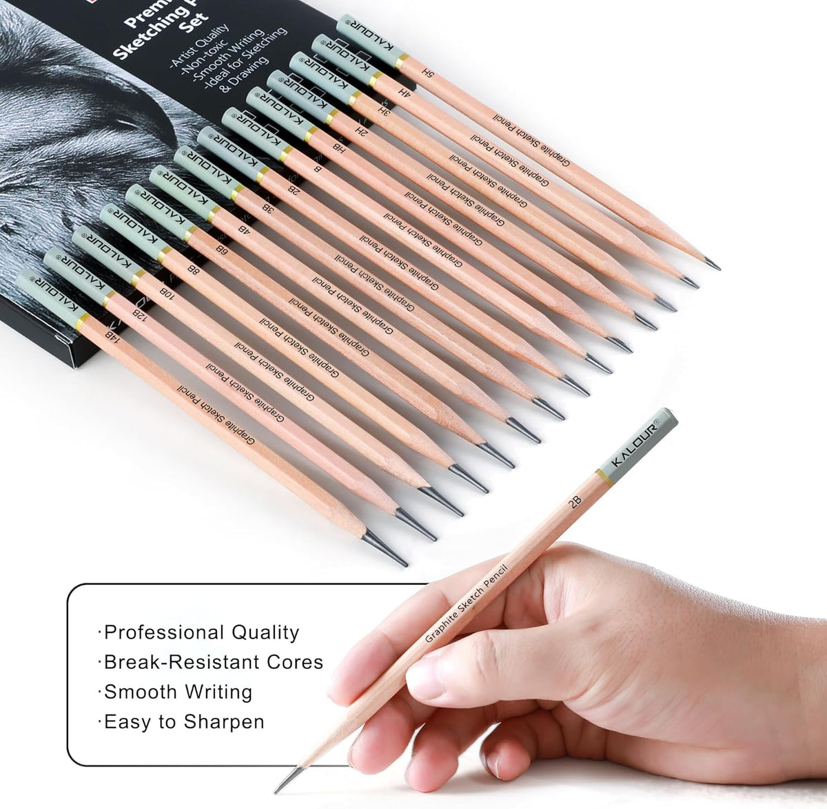 KALOUR 18-Piece Professional Sketch Pencil Set - Includes 5H to 14B Pencils, Vinyl Eraser, Kneaded Eraser,Sharpener and Paper Blending Stump - Ideal for Artists and Beginners