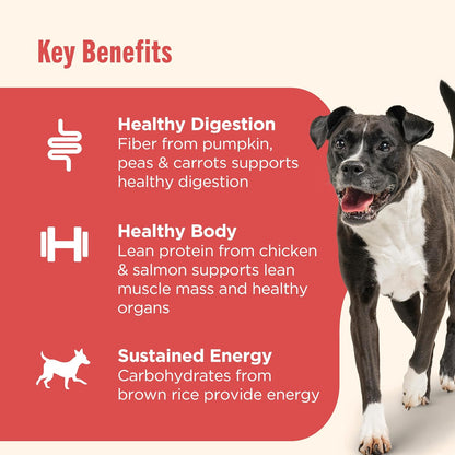 rachael ray nutrish gentle digestion premium paté wet dog food real chicken pumpkin & salmon recipe 12 count