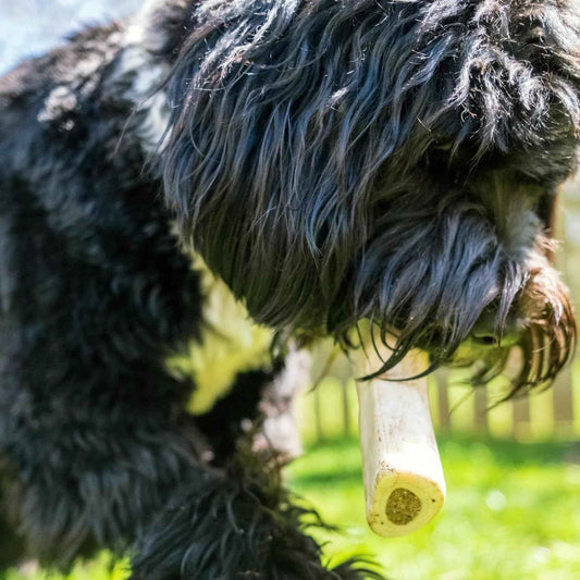 Cadet Stuffed Shin Bone, Long-Lasting Dog Chew Bones for Aggressive Chewers, High Protein Filled Bone Dental Chew for Dogs, Peanut Butter Flavor Filling, 5-6" for Large Dogs