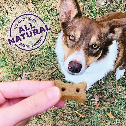 Old Mother Hubbard Wellness P-Nuttier Dog Biscuits, Natural, Training Treats, Peanut Butter Flavor, Mini Size, (6 Pound Box)