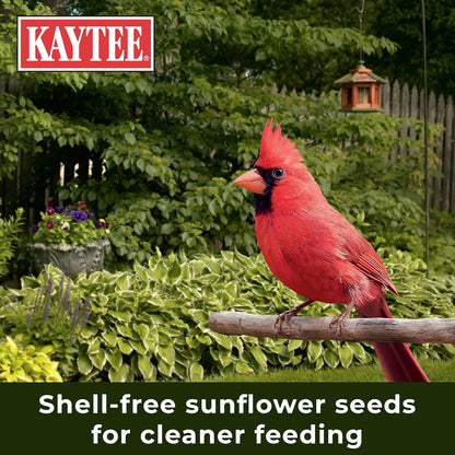 Kaytee Wild Bird (No Mess or Waste Free) Food Seed Blend For Blue Jays, Woodpeckers, Juncos, Cardinals, Grosbeaks, Sparrows, and Finches, 10 Pound, (Packaging May Vary)