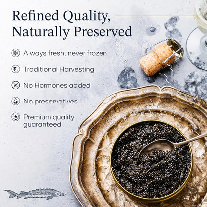 Overnight Guaranteed, BESTER Premium Russian Osetra Sturgeon Black Caviar - (8.8 oz-250g) - Malossol Ossetra Black Roe - Premium Quality, Traditional Style, Imported. Free blinis and 2 spoons.